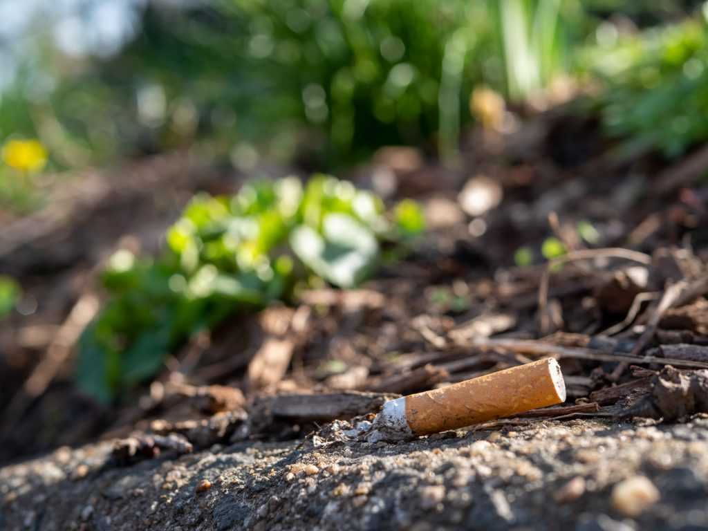 El tabac: una gran amenaça per al medi ambient