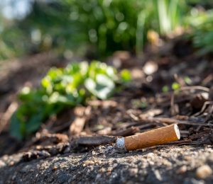 El tabaco: una gran amenaza para el medioambiente