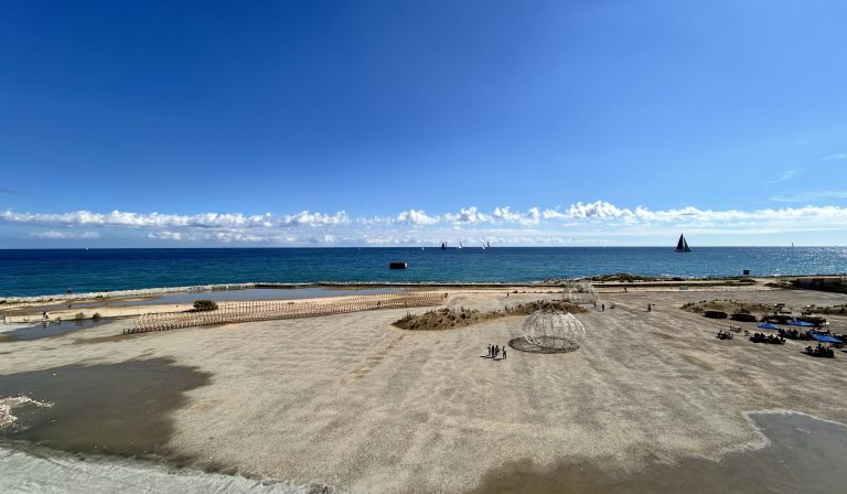 Seminario Internacional : Hacia un Enfoque Ecocéntrico