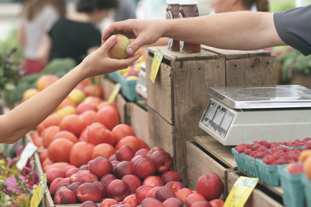 Estrategias para la transformación del modelo alimentario. Aprendizajes del impacto de la COVID-19.