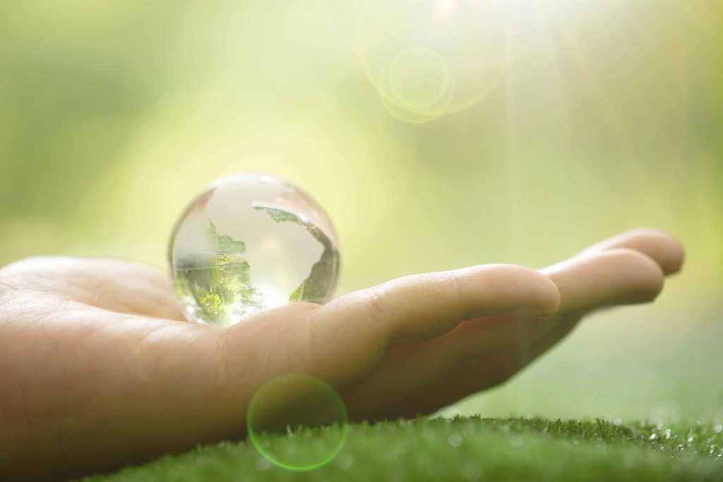 Compromesos amb el Medi Ambient i la Sostenibilitat