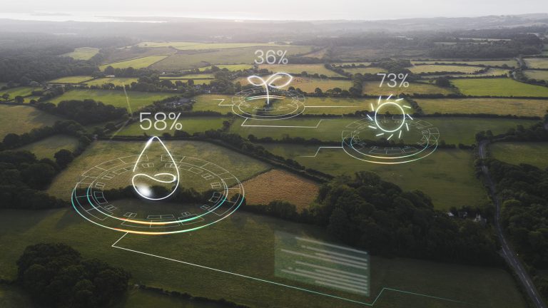 Políticas públicas y regulación de la doble transición ecológica y digital