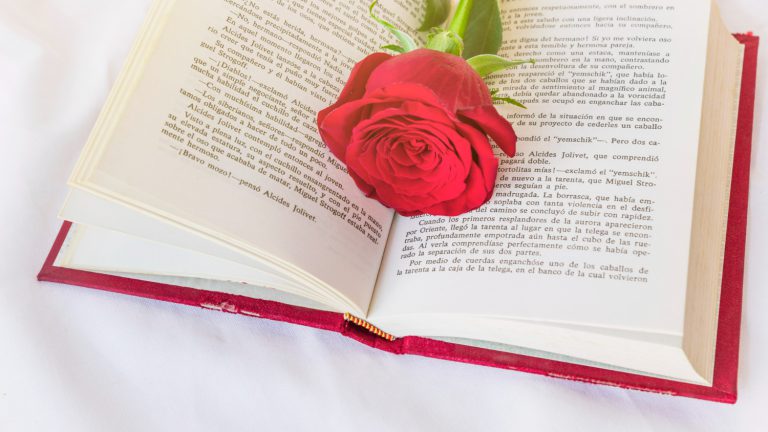 7 recomanacions de llibres per a Sant Jordi 2023