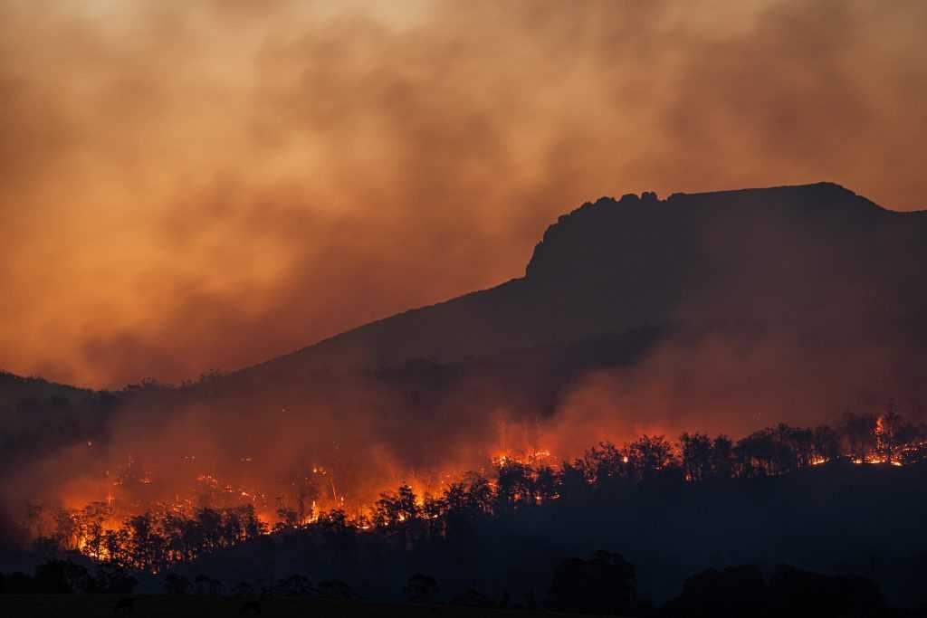 formació prevenció incendis forestals