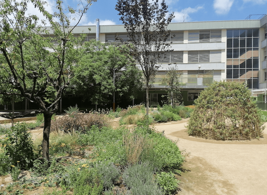 Escola Jaume I's playground