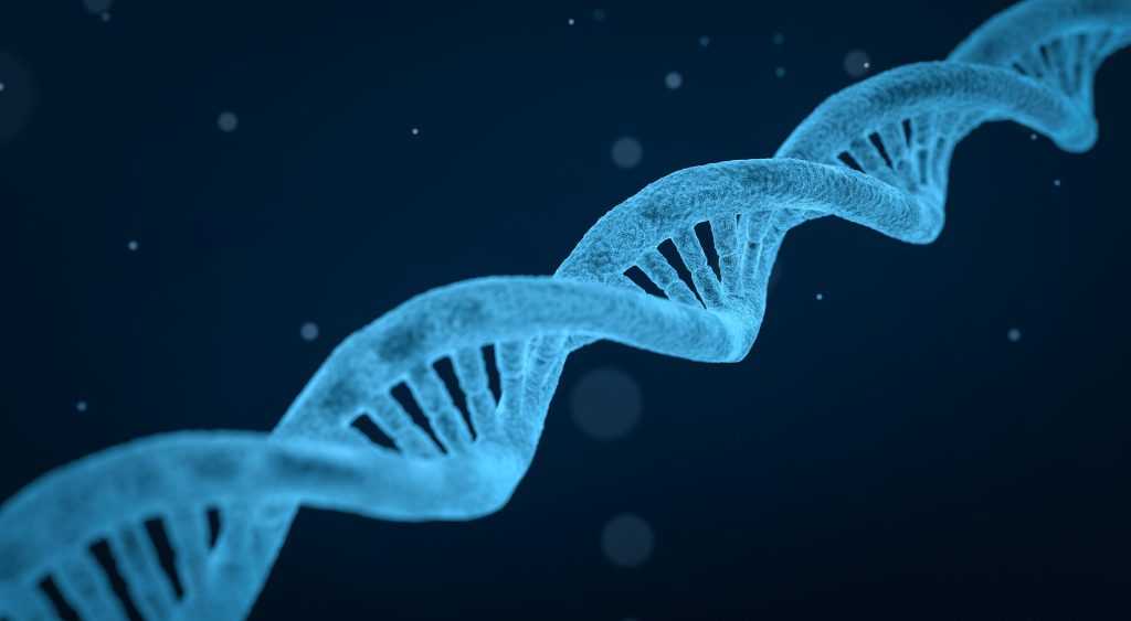 La farmacogenética: una de las aplicaciones médicas de la bioinformática