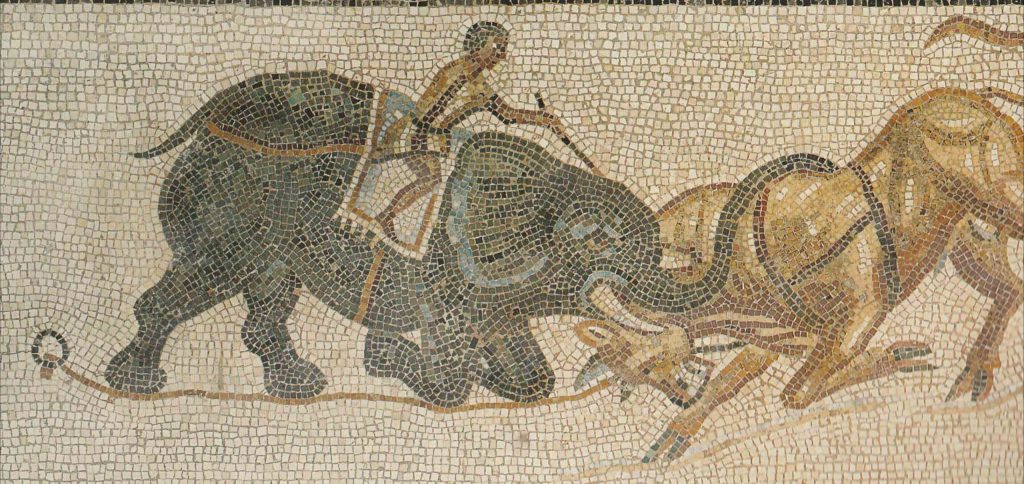 ¿Queréis saber más sobre la introducción del elefante de guerra en Cartago y sus particularidades?