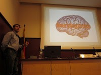 Conferències sobre psicolingüística, neurolingüística i logopèdia